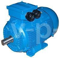 Электродвигатель, 11,0 кВт для 500w115-10 Электродвигатель, 11,0 кВт для 500w115-10 фото