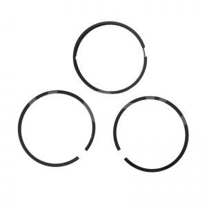 4080120000 Комплект поршневых колец  D.59 4080120000 Комплект поршневых колец  D.59