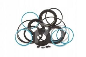 Ремкомплект уплотнений EVO9 G 162837 фото