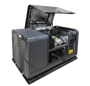 Газовый генератор  GM 12000 Газовый генератор  GM 12000