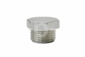 R 4151502300 Заглушка 1/4" mod.11/B (аналог 3101.00.00.203) для 500w115-16 фото
