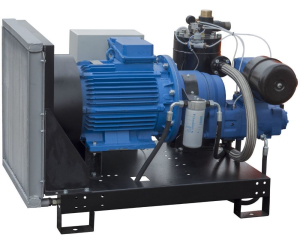 Винтовой компрессор Арсенал ЗИФ-СВЭ-14,0/1,0 без кожуха фото