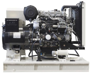 Дизельный генератор TEKSAN TJ15PE5C  фото