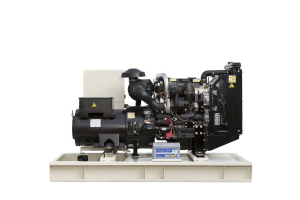 Дизельный генератор TEKSAN TJ110PE5C  синхронный фото